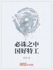 必诛之中国好特工