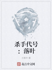 杀手代号：落叶