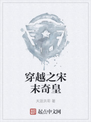 穿越之宋末奇皇