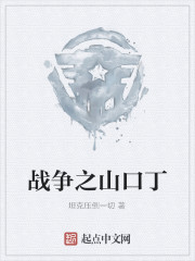 战争之山口丁