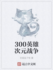 300英雄次元战争