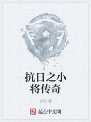 抗日之小将传奇