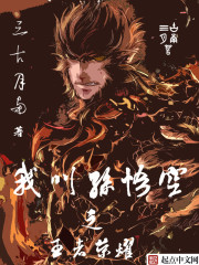 王者荣耀之我叫孙悟空小说