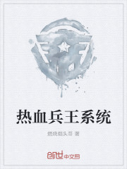 热血兵王系统