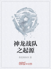神龙战队之起源
