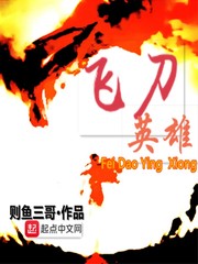 飞刀英雄