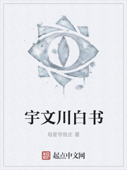 宇文川白书