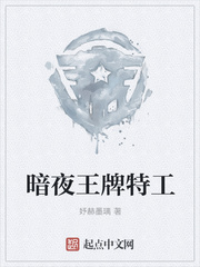 暗夜王牌特工