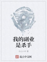 我的副业是杀手