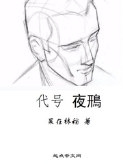 代号夜鳽
