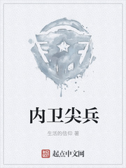 内卫尖兵