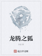 龙腾之狐