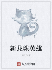 新龙珠英雄