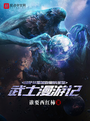 给萨尔那加跑腿的圣堂武士漫游记