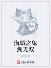 海贼之鬼剑无双