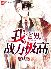 我，宅男，战力极高