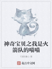 神奇宝贝之我是火箭队的喵喵