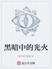 黑暗中的光火