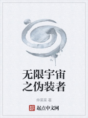 无限宇宙之伪装者