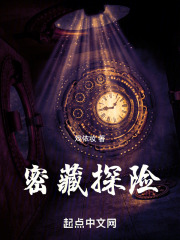 密藏探险