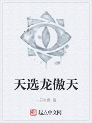 天选龙傲天