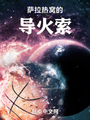 萨拉热窝的导火索