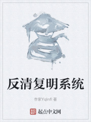 反清复明系统