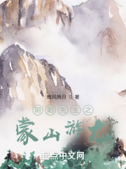 阴阳先生之蒙山游龙