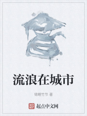 流浪在城市