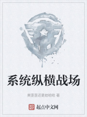 系统纵横战场