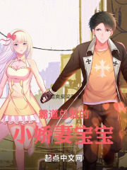 霸道总裁的小娇妻宝宝