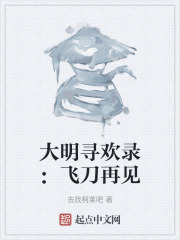 大明寻欢录：飞刀再见