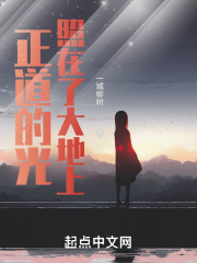 正道的光照在了大地上