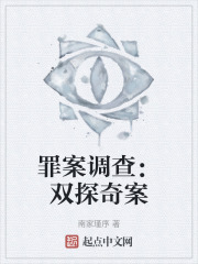 罪案调查：双探奇案