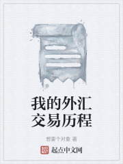 我的外汇交易历程