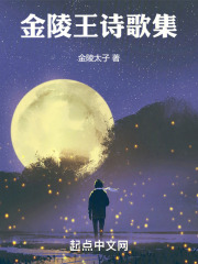 金陵王诗歌集