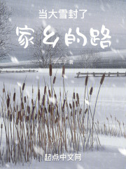 当大雪封了家乡的路
