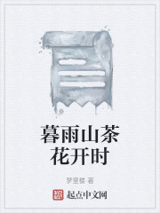 暮雨山茶花开时