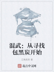 混武：从寻找包黑炭开始