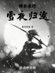 锦衣夜行，雪夜归途
