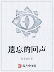 遗忘的回声