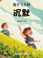 属于飞鸟的沉默