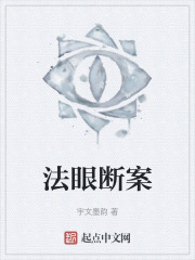 法眼断案