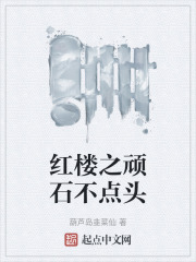 红楼之顽石不点头