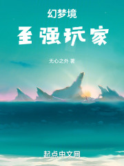 幻梦境：至强玩家