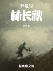 葬送的林长秋