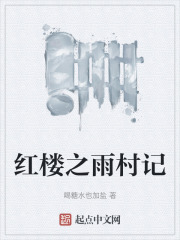 红楼之雨村记