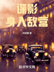 谍影：身入敌营