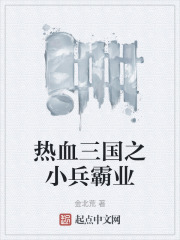 热血三国之小兵霸业