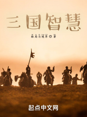 三国智慧